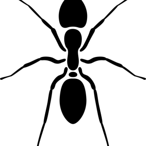 Стикер Мравка