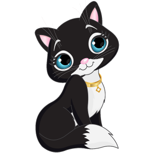 Черно коте